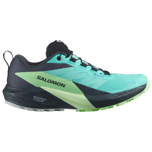 Women's Salomon Sense Ride 5 GTX