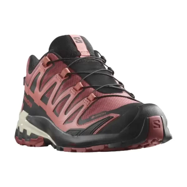 Women's Salomon XA Pro 3D V9 GTX Shoe